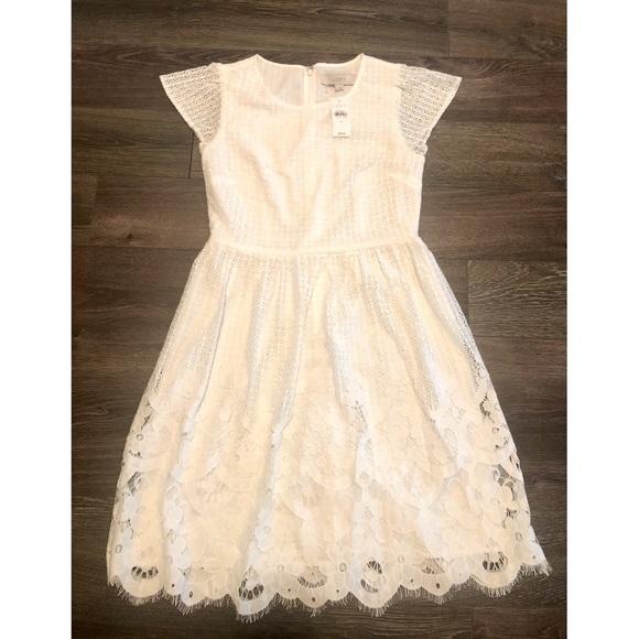 NWT Loft Lace Dress size 0 - Picture 2 of 2